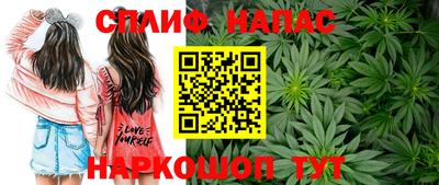 дживик Будённовск